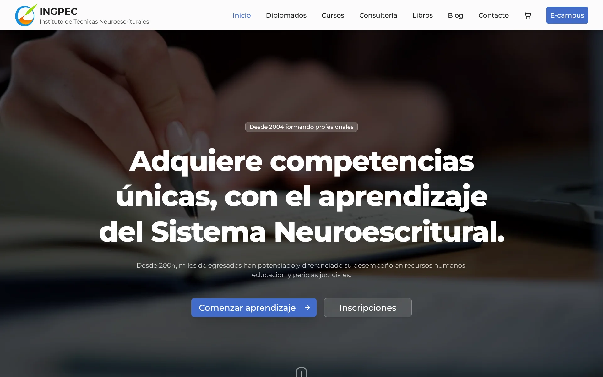 Interfaz de www.ingpec.com — Instituto INGPEC Chile